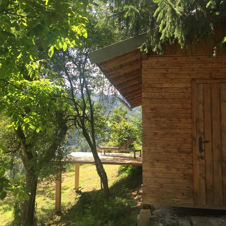 Ferienwohnungen Unterleegut Mühlbach am Hochkönig Eksteriør billede
